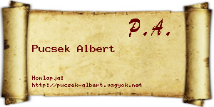 Pucsek Albert névjegykártya